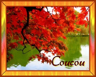 Bonjour automne 796625coucou_automne_ovfoyjy7