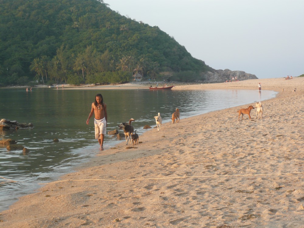 koh phangan 8049682009_KPG_MAEHAD_HOMME_CHIENS_1