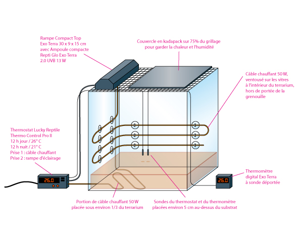 Le terrarium de Gloumbi 830151chap9_17