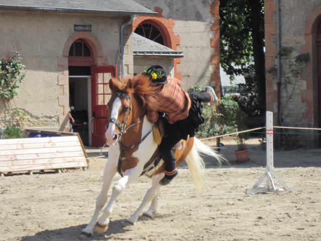 visite aux haras d'Hennebont (56) 862251IMG_0712_1_