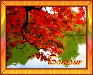 Bonjour automne 920643bonjour__automne_ovfoyjy7