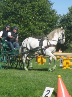 Haras Nationaux de Montier-en-Der (52) 951224Haras_nationaux_024