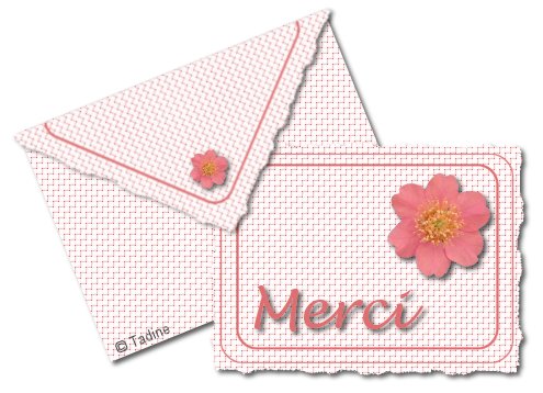 A 10... offre une fleur au n°5 - Page 9 958424merci3