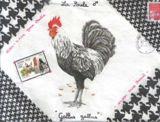 Galerie des Poules 963252gallus1