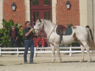 Haras Nationaux de Montier-en-Der (52) 966291Haras_nationaux_039