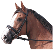 ♪ Equine Saddlery 980714eventa