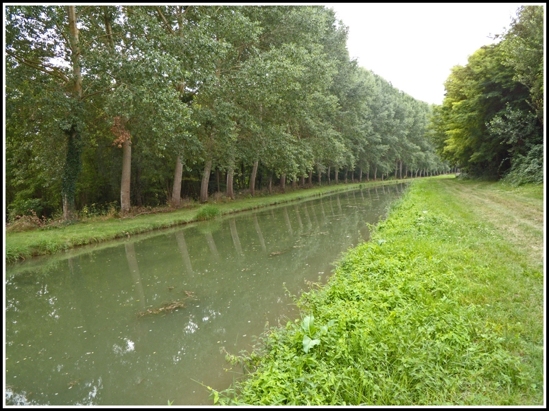 Petite ballade sur le canal du Berry 984105canal_du_berry