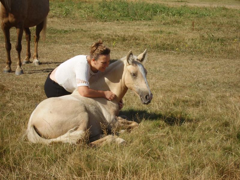 POULICHE PALOMINO IBERIQUE PP CS (Tarif préférentiel avant sevrage) 179329PICT4649