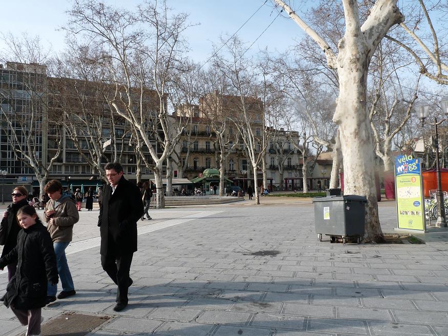 TRAM..TRAM !! :MONTPELLIER LA MO(U)SSON NETTOIT UN GYM-NICOIS ETEINT ... - Page 2 338521P1040100