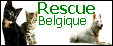 Les boutons de Rescue Belgique 420316Bouton