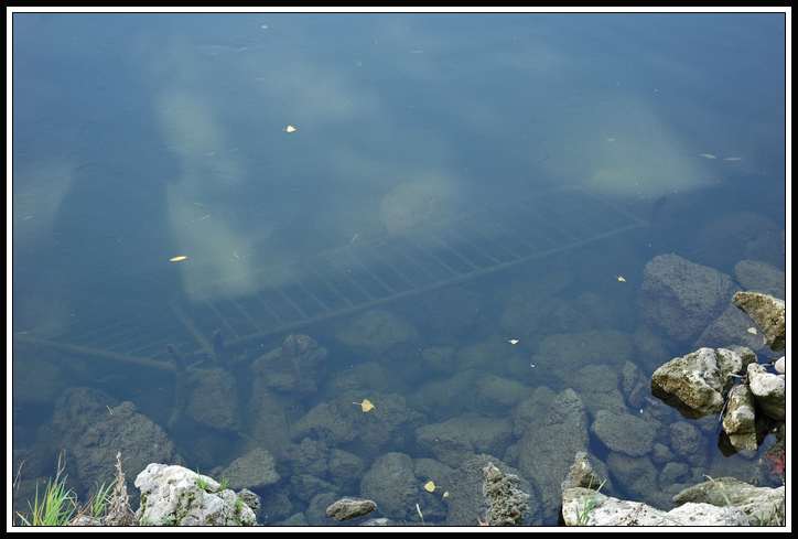 [Récit gagnant Septembre 2009] Le gamin sait maintenant comment faire 442179street_fishing_barriere