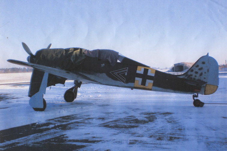 Focke-Wulf Fw 190 47869520