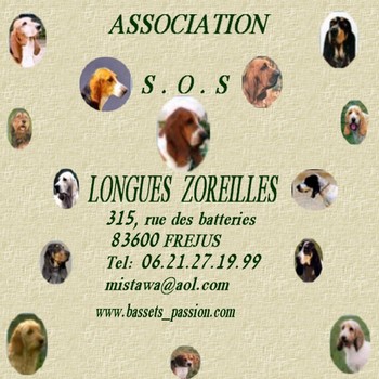 notre association pour bassets et autres chiens courants 536776cartev10