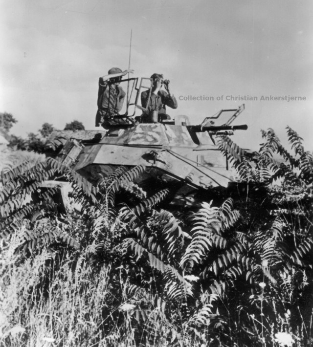 Sdkfz 222, véhicule de reconnaissance 5401617