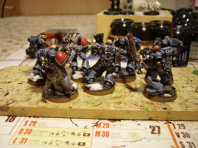 [40k] Projet Space Wolves: 1500 Pts  570154CGris2