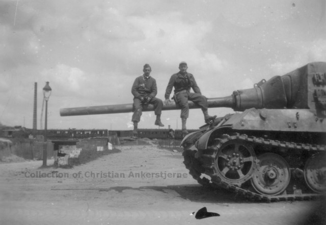 Panzerjäger Tiger Ausf. B ou Sd.Kfz. 186 "Jagdtiger  " 5929413