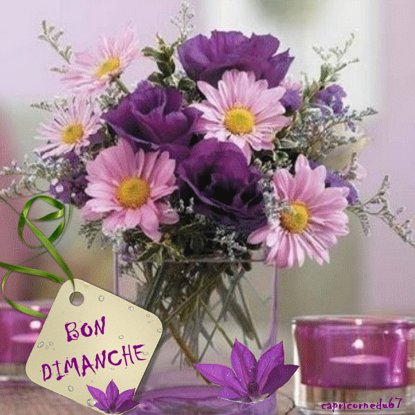 bon dimanche01