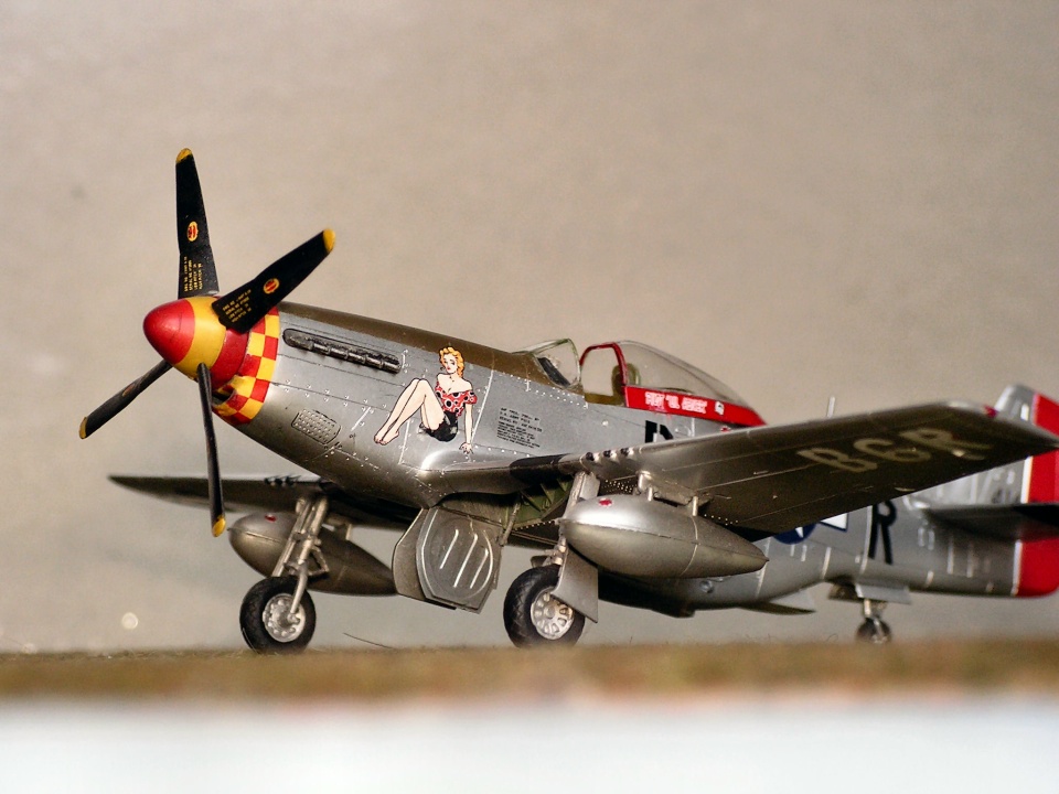 P 51 D  "Daisy Mae" Tamiya Pict0005trv