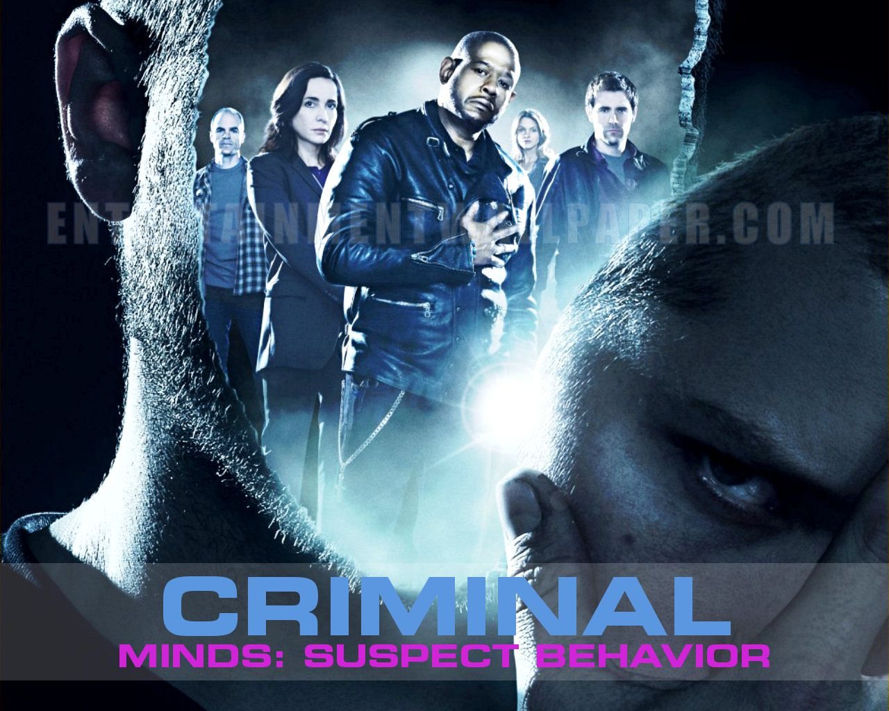 Criminal Minds: Suspect Behavior S01 DVDRip Q72w