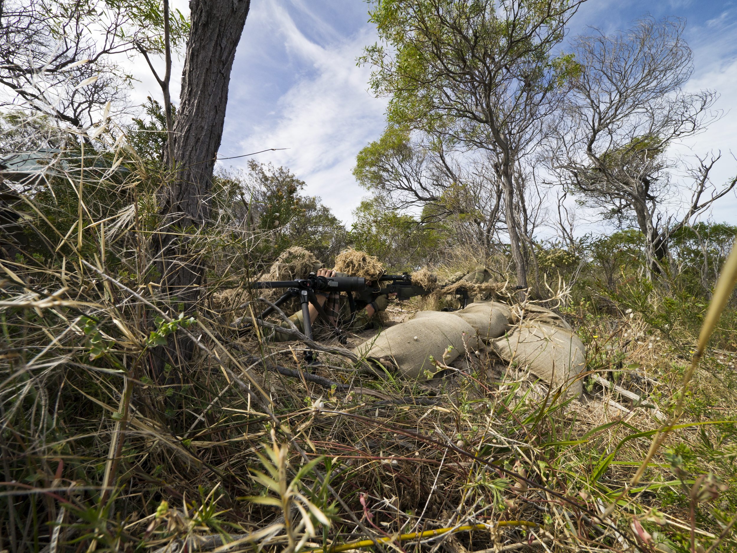 Australianos - Pgina 3 20121114rar00000002