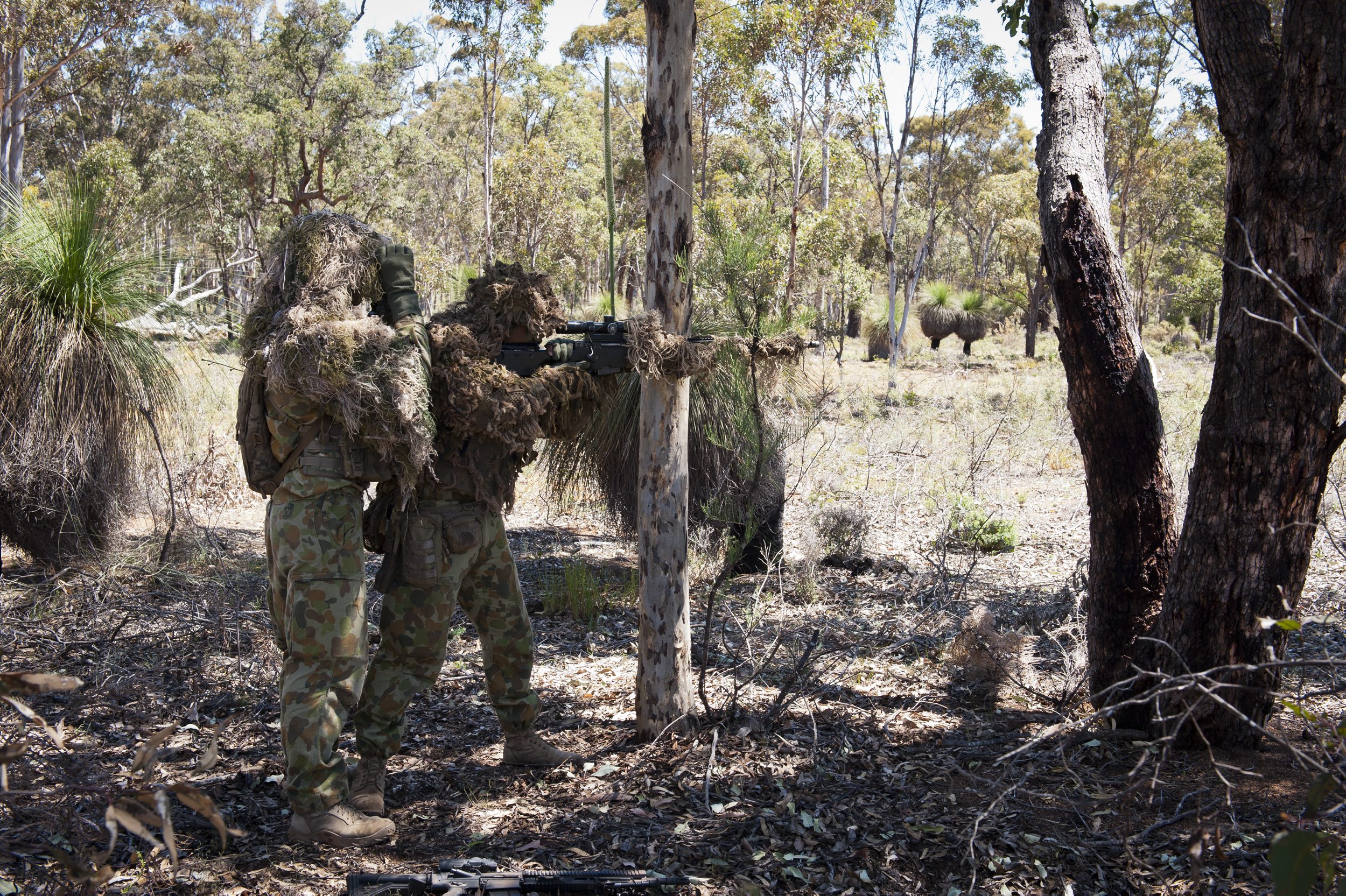 Australianos - Pgina 3 20121115rar00000001