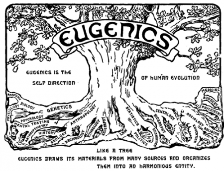 Les fondations : instruments aux mains de l'Elite Eugenicscongresslogo