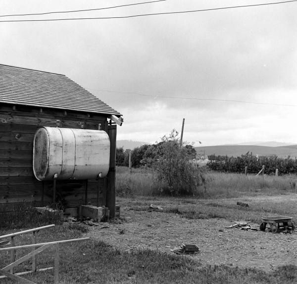 trent - La photo retrouvée de Life Magazine (archive) d'un des fils TRENT (McMinnville pictures)... - Page 3 1902b7e3ba56