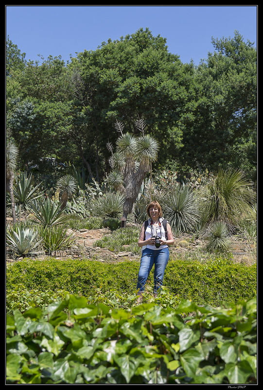 Sortie Anniversaire Toulon - Photos des 5èmes Rencontres Macro du Sud (2015) - Page 21 FzDd8M