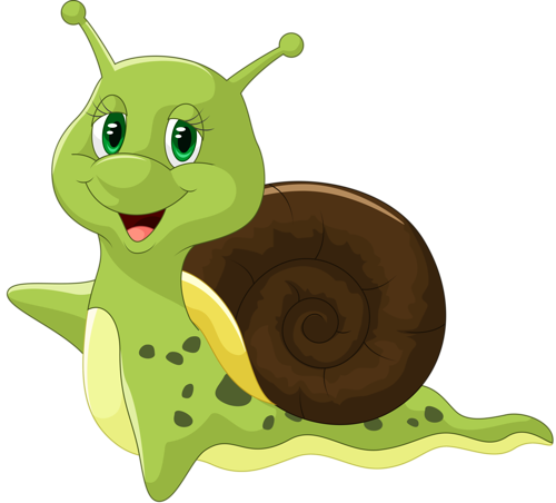 Caracol NoNuFb