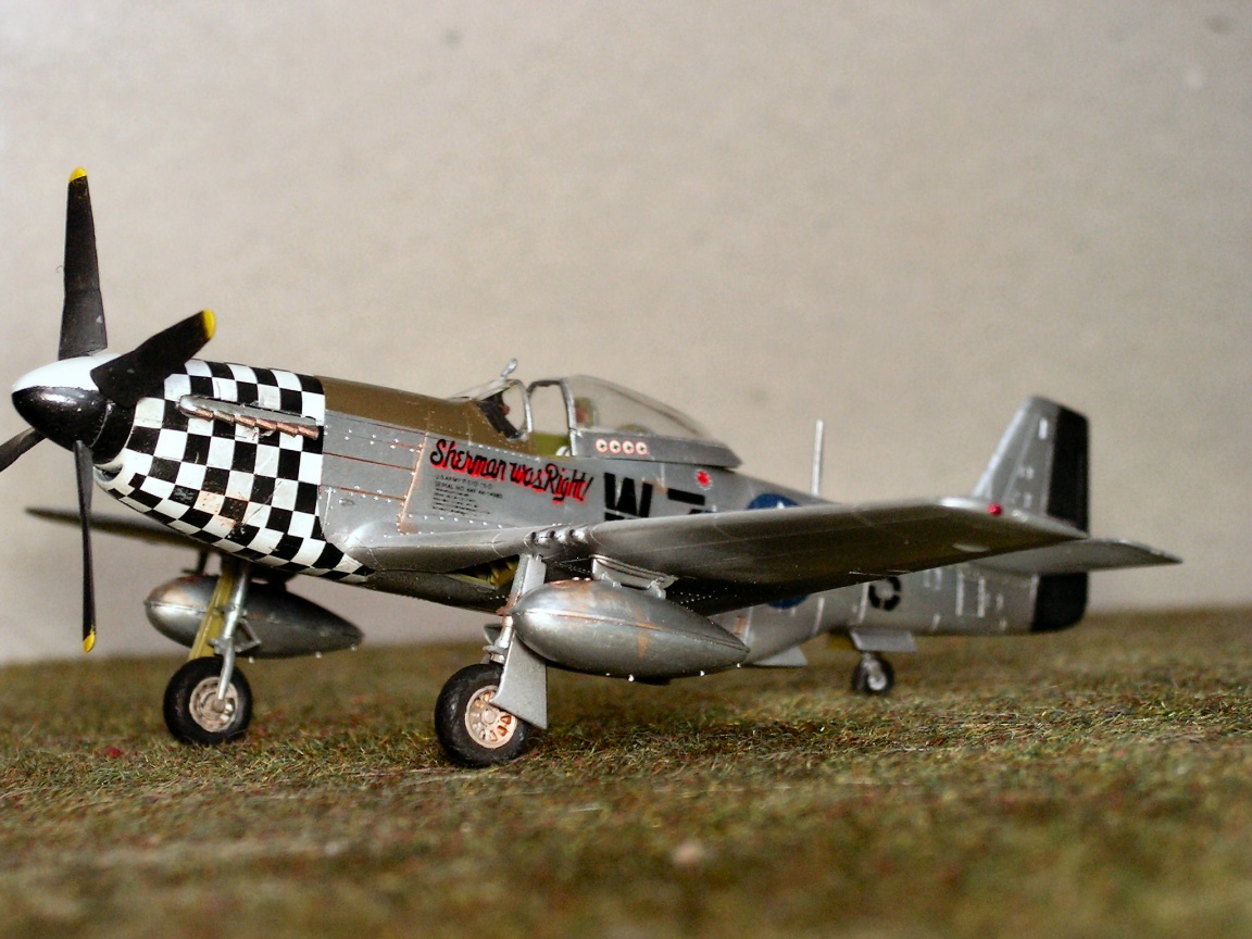 P 51 D Tamiya Pict0001th