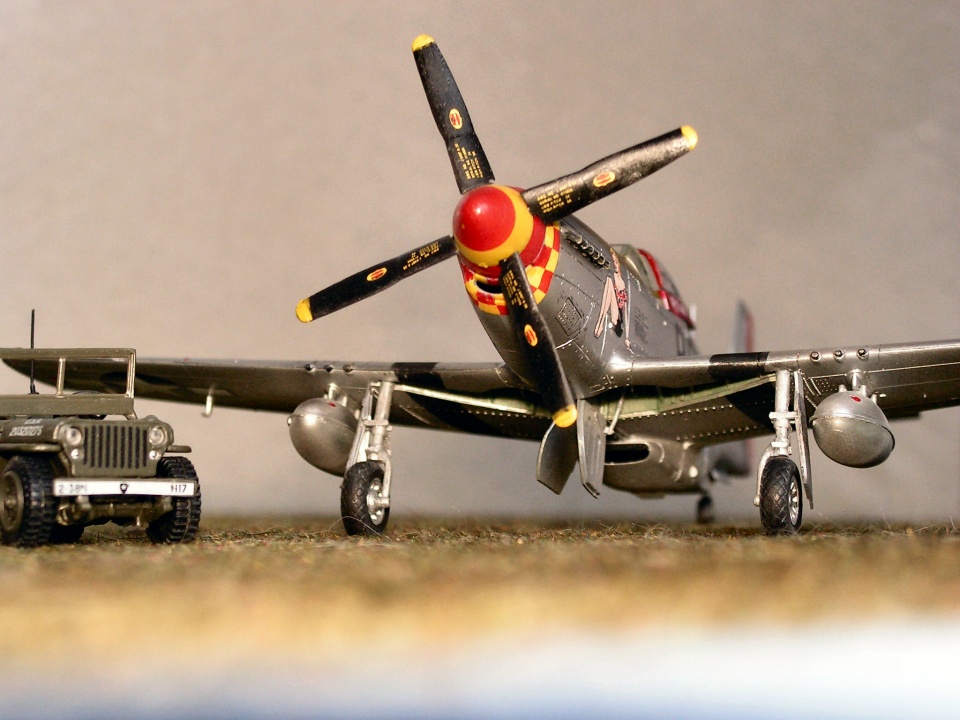 P 51 D  "Daisy Mae" Tamiya Pict0010vh