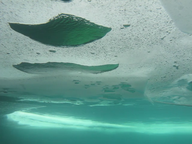 Plongée sous glace avec l' Aquascope JeanRichard PVD Vlcsnap2013012906h46m32