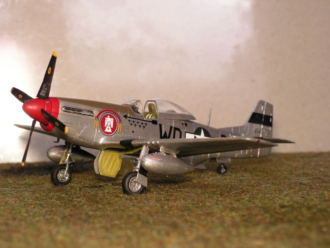 P 51 D Mustang(s) Pict0001re