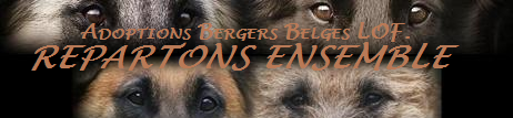 Site d'adoption Berger Belge LOF "Repartons Ensemble"  Repartons