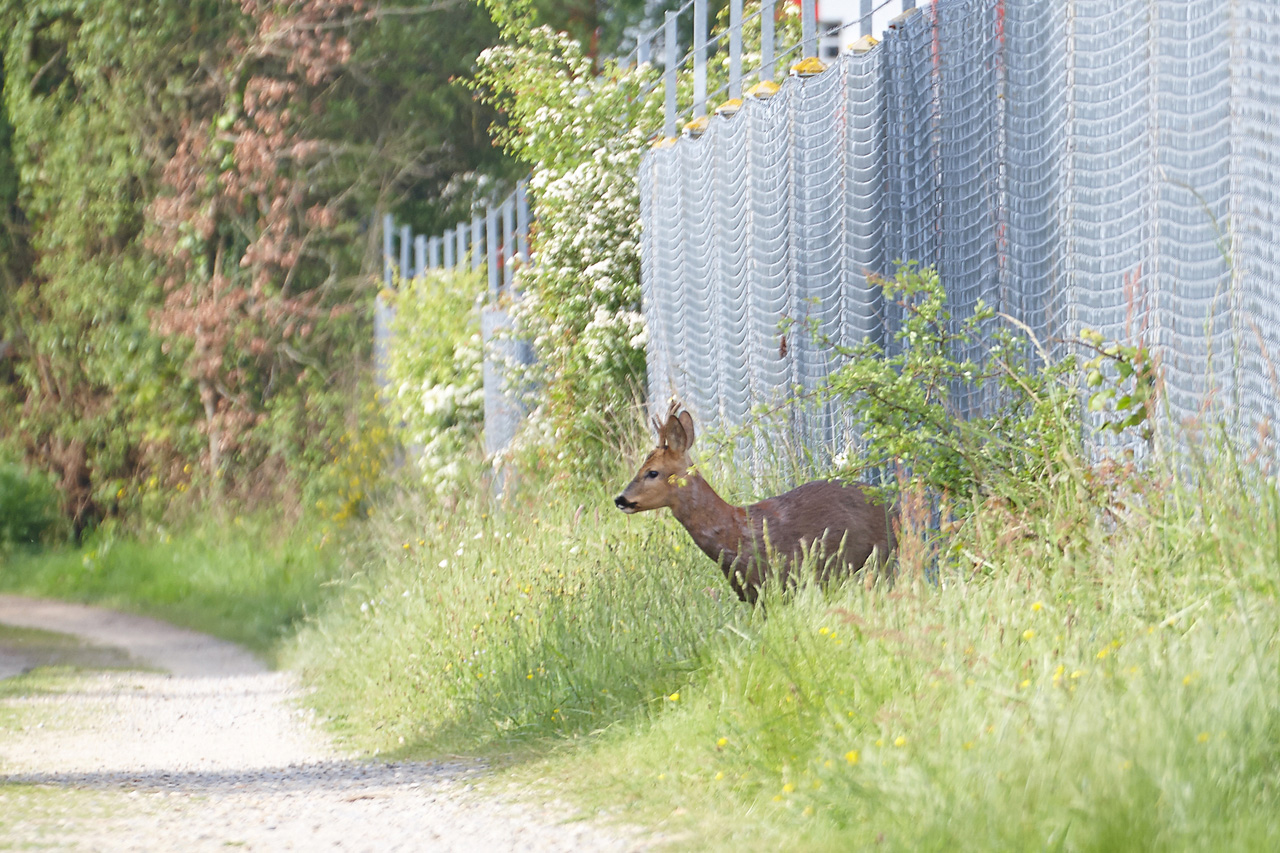 Spotting du 04/05/2014 Fatdj