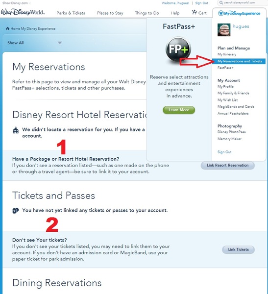 MyMagic+: FastPass+, MyDisneyExperience, MagicBands/MagicBands+ [Walt Disney World Resort/Disneyland Resort] - Page 19 Lh9bw