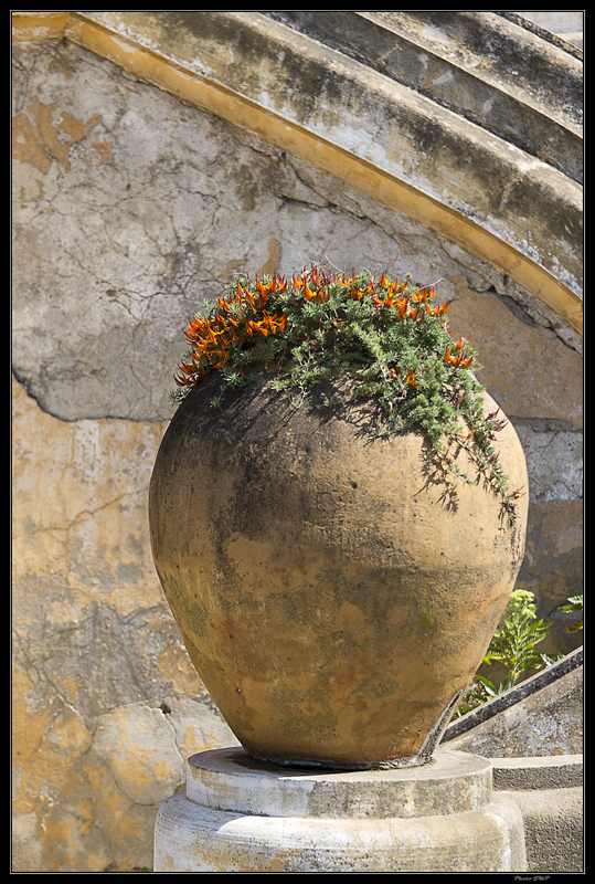 Sortie Anniversaire Toulon - Photos des 5èmes Rencontres Macro du Sud (2015) - Page 20 MSBWQH