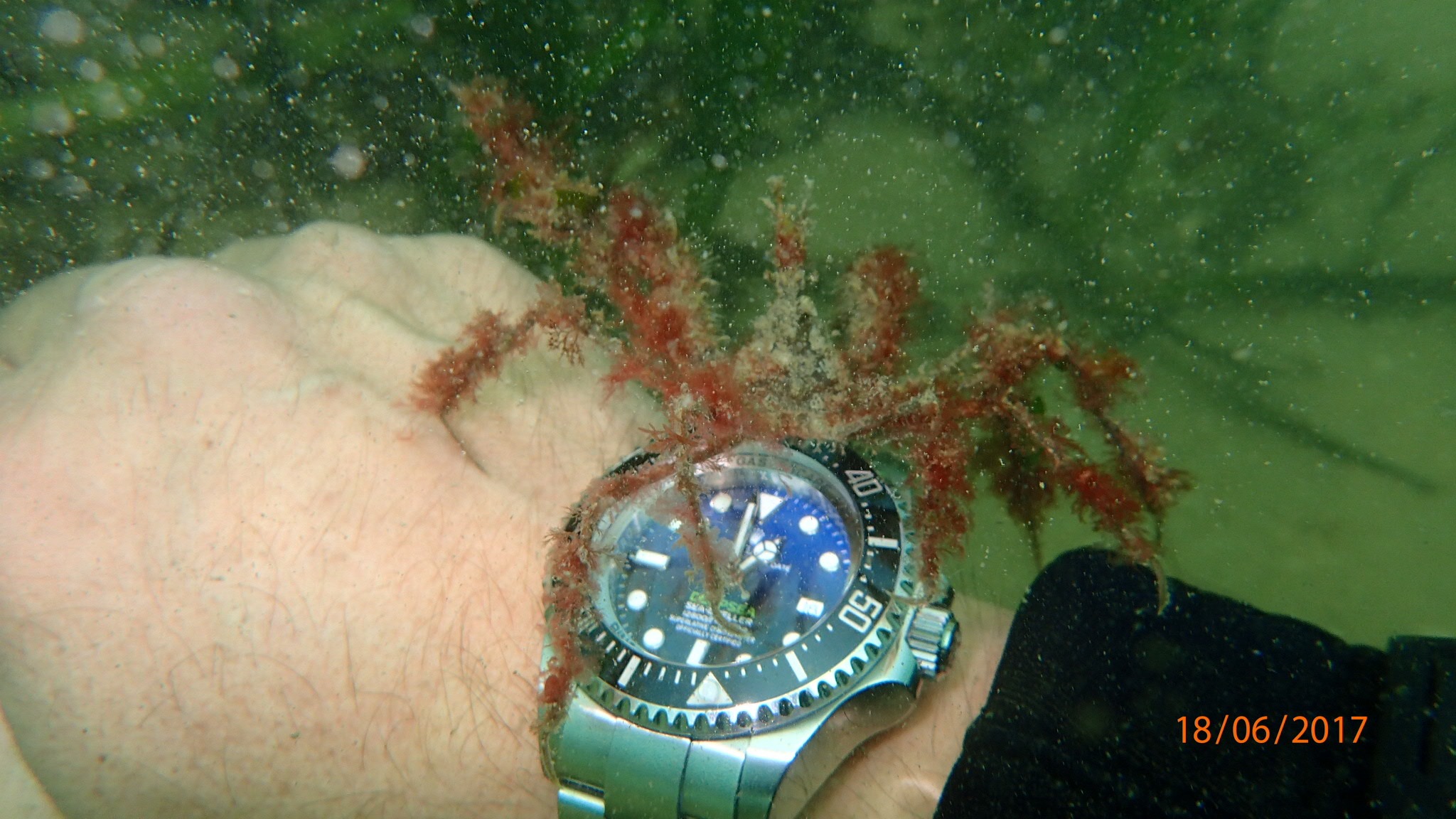 SEA -DWELLER  Toutes références confondues Bzd608