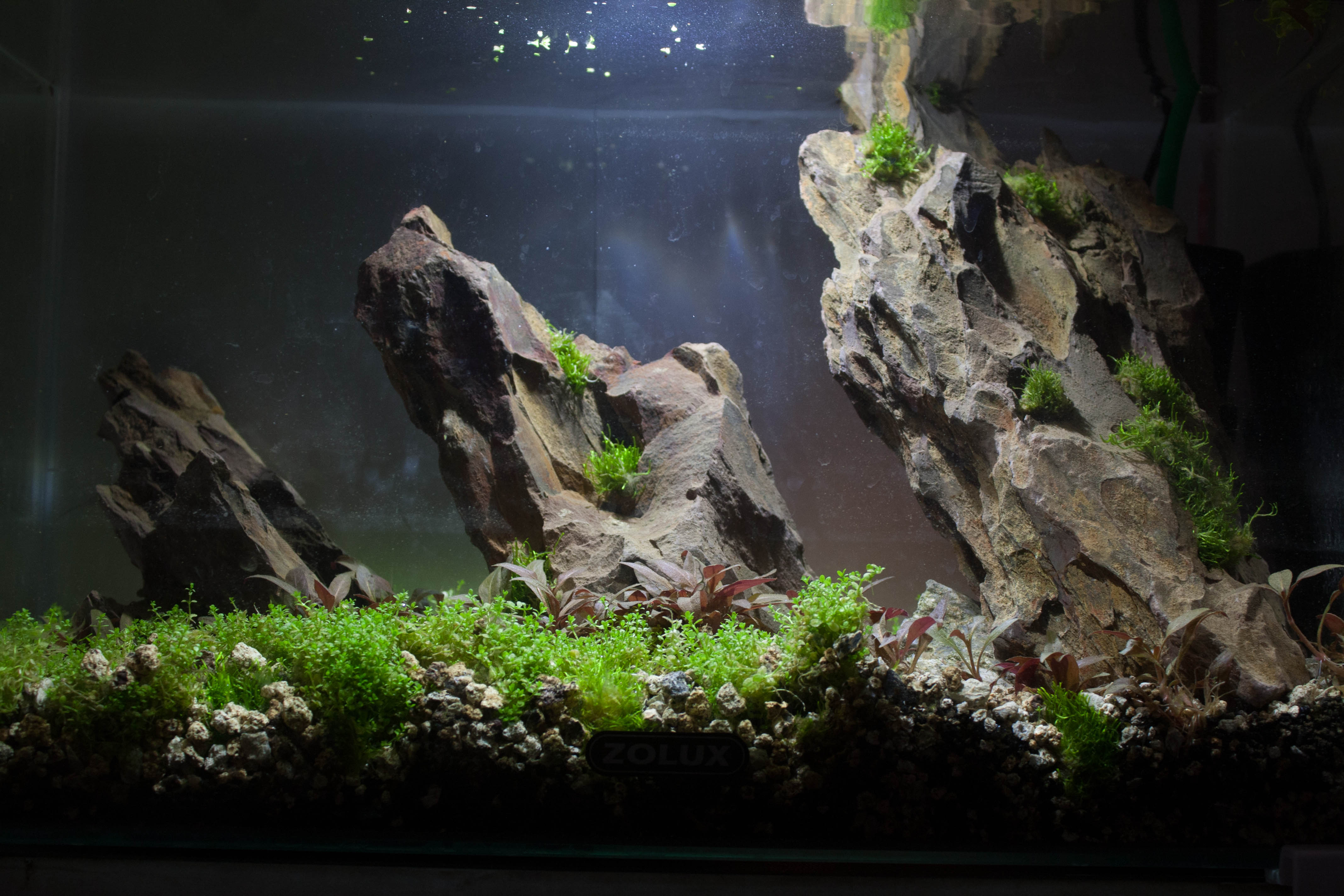 20l aquascaping  PI1SCg