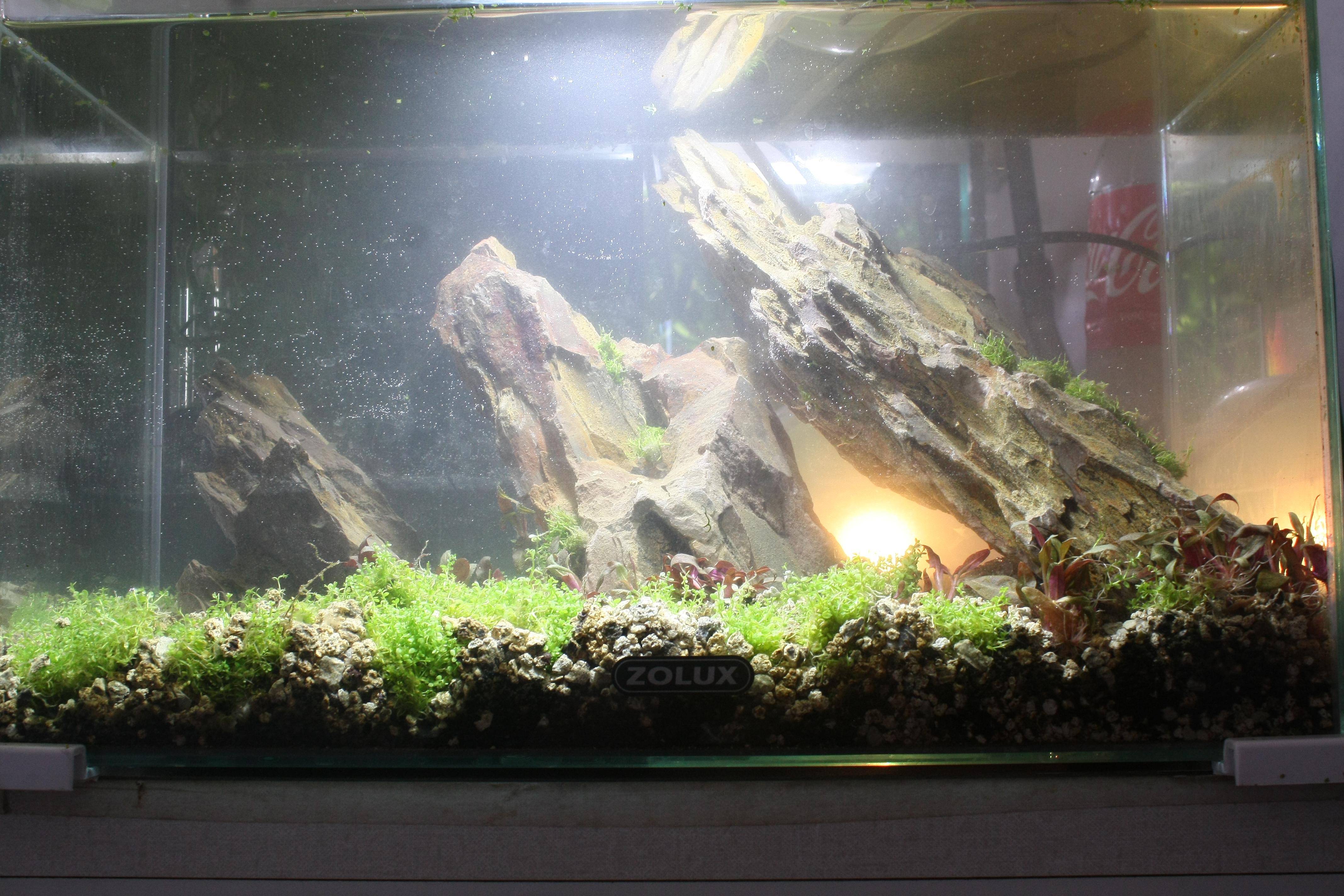 20l aquascaping  8WmfpW