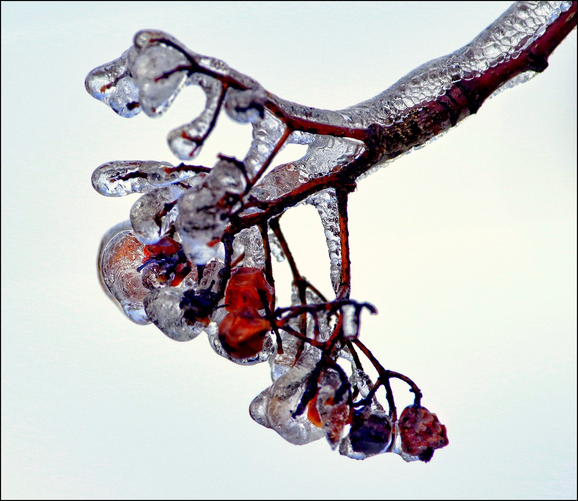 Ciel / Nuages / Pluie / Brume / Vent / Neige / Givre / Soleil - Page 10 MxZjds