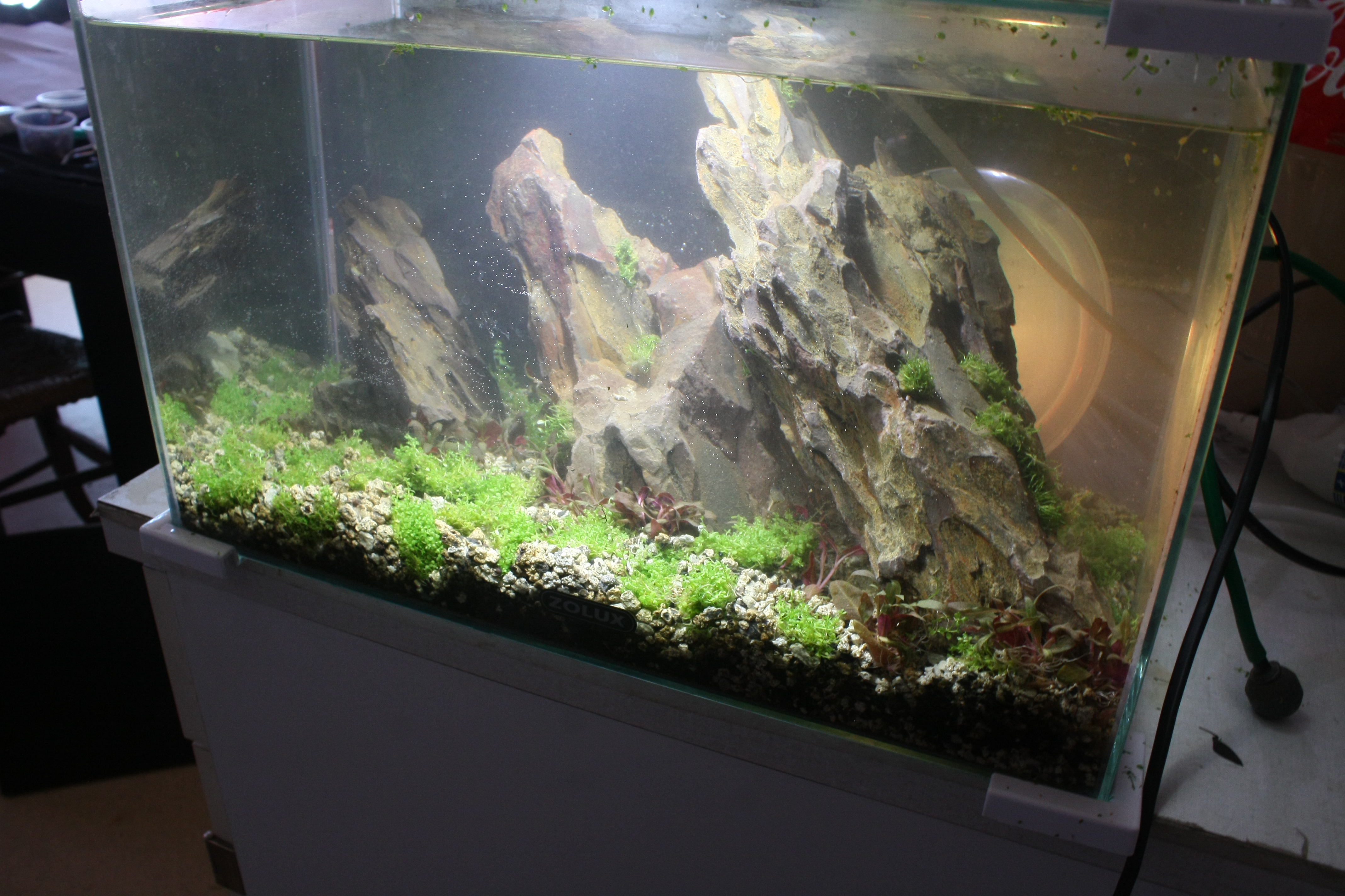 20l aquascaping  BJRUAi