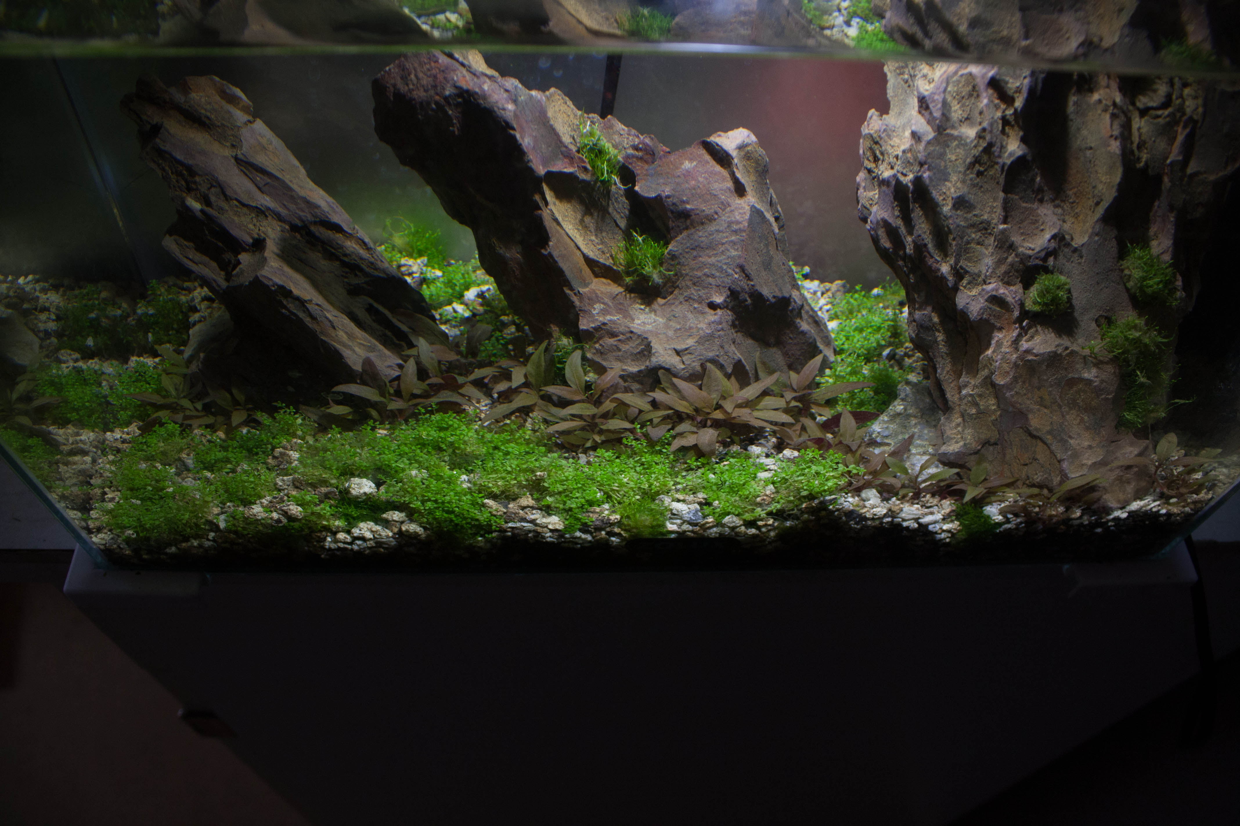 20l aquascaping  KgyVjz