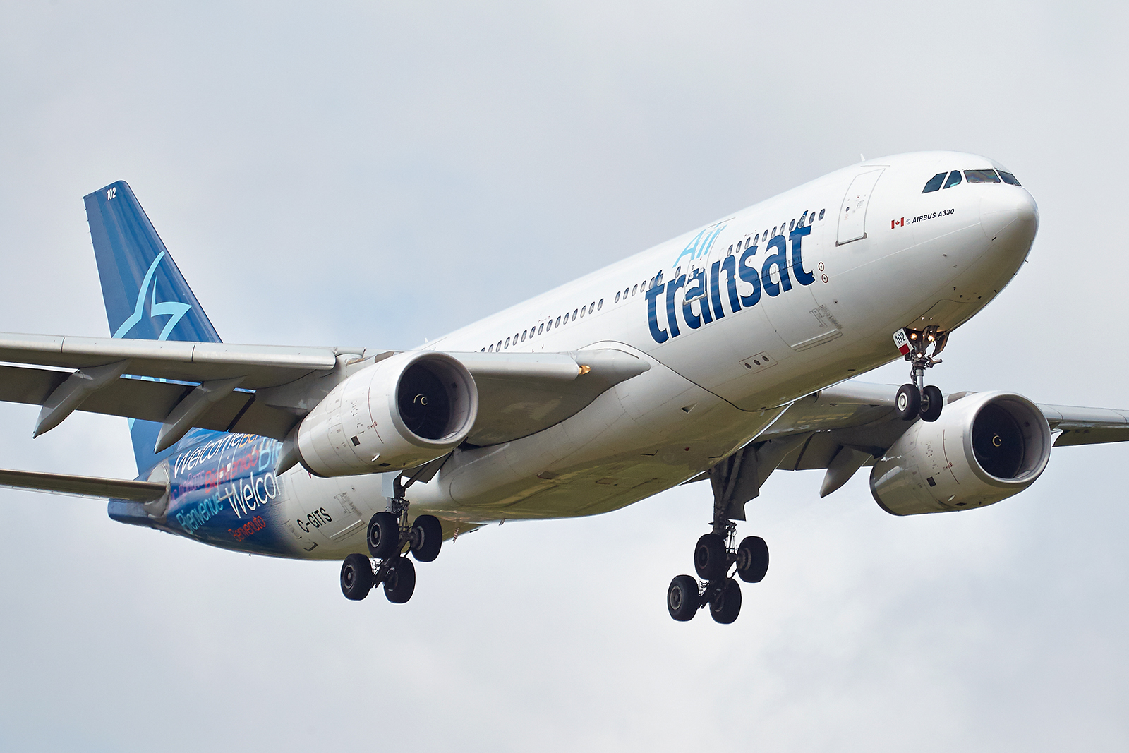 [08/08/2017] Airbus A330-200 (C-GITS) Air Transat aka "Planeur des Açores" ZDYylv