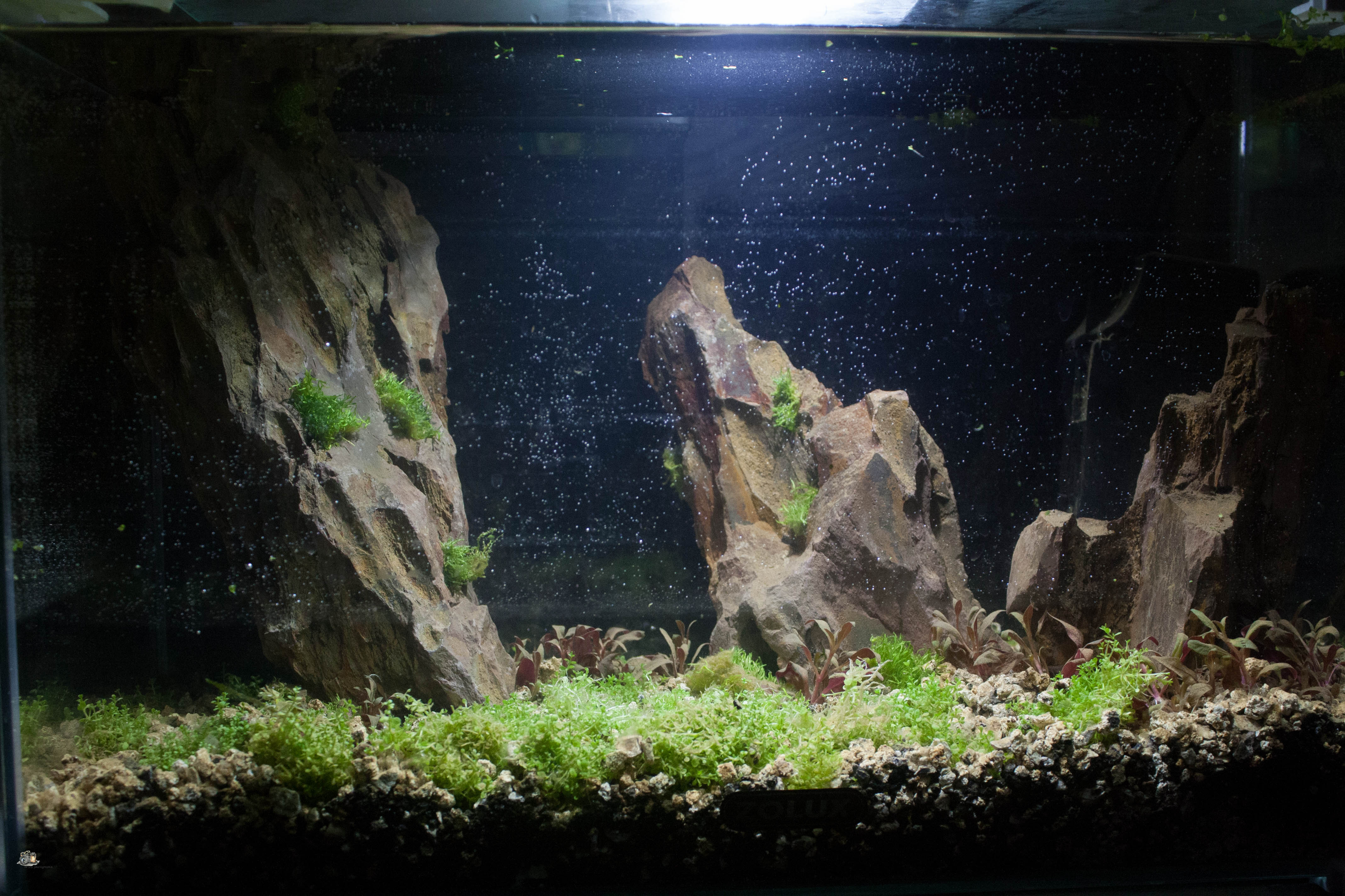 20l aquascaping  0ELhH7