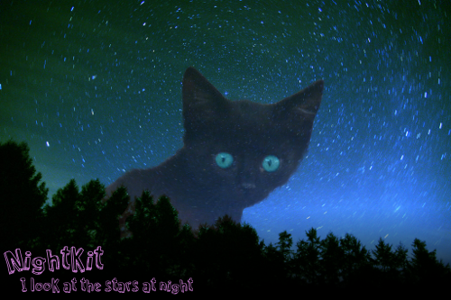 Kitten Attack!! (Alleen Nightkit, Colorkit, Ravenkit, Dreamkit en het slachtoffer) Fe45e529bb91c248b28bbb9