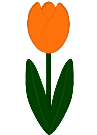 Tulipán naranja Rraj