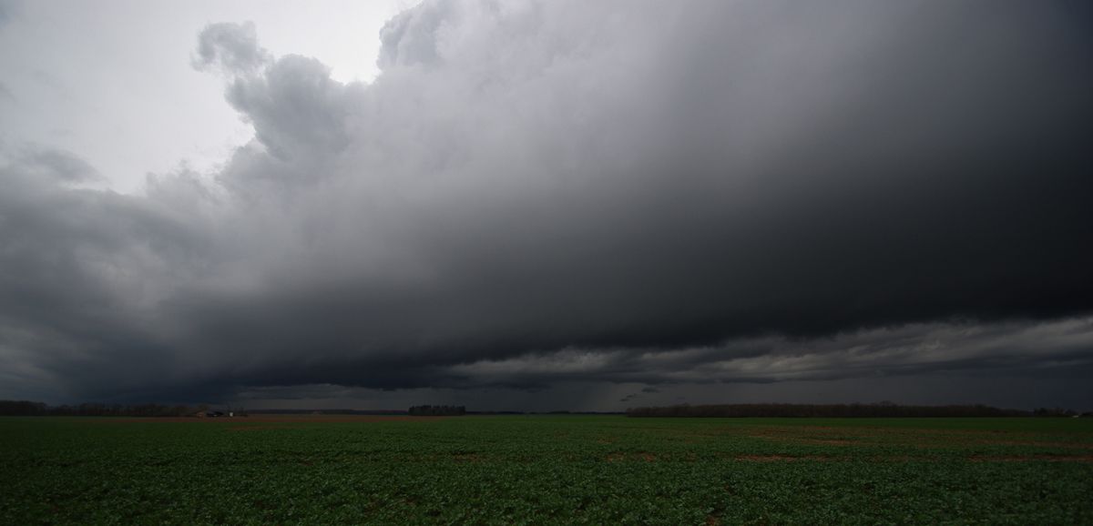 Arcus surprise Copiedeimgp8320