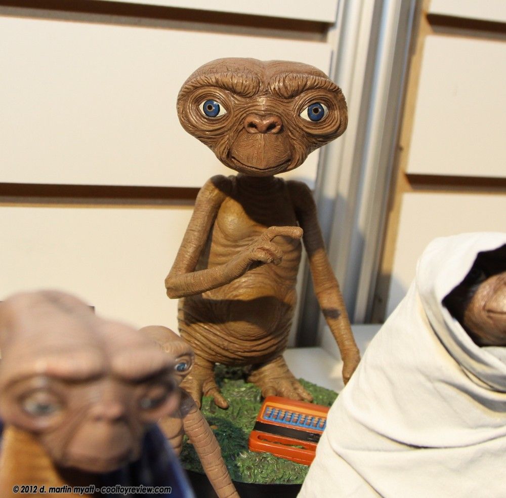 E.T. Series Img7391y