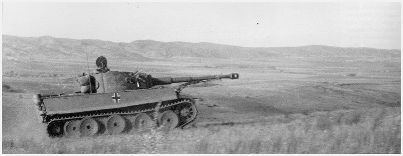 tiger - Tiger I du sPzAbt. 501 en Tunisie 1943 Tigerinr132spzabt501nor